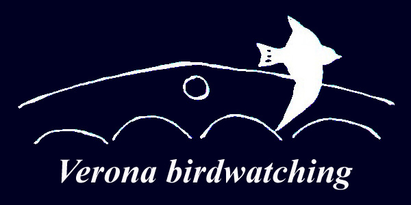 VR BW logo © VR BW