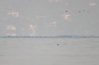 IMG_6074