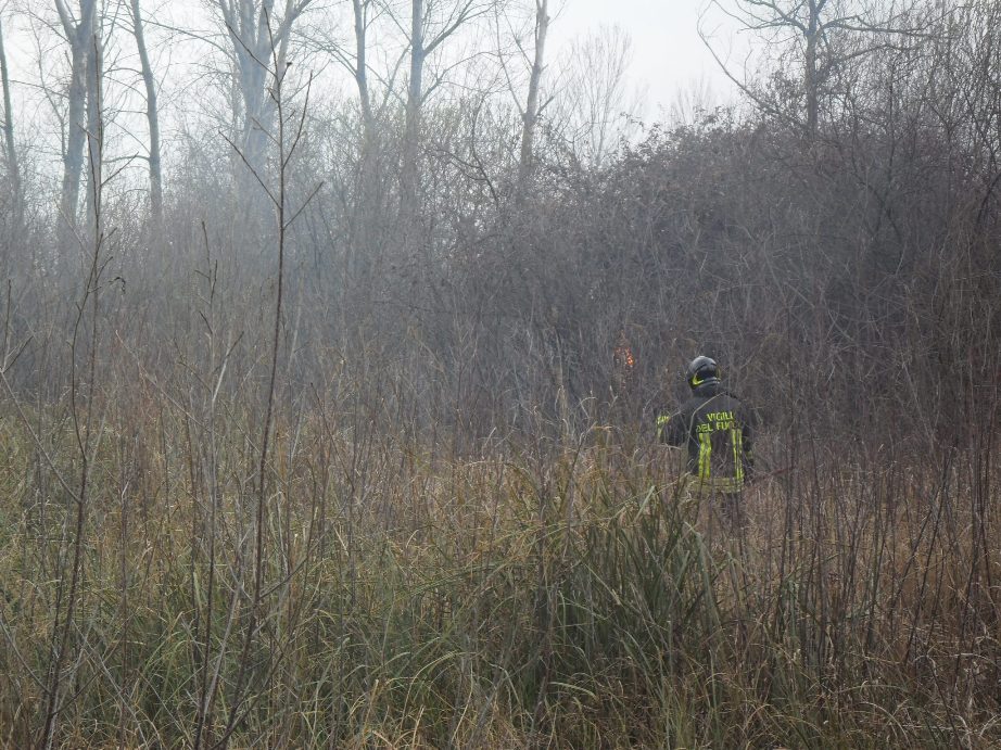 incendio.frassino.4