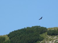 Aquila CoalSanto 1