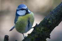 IMG_5142