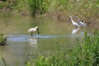 IMG_3483