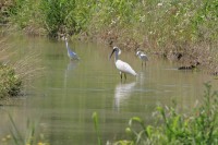 IMG_3501