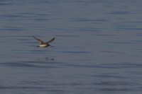 IMG_3928