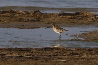 IMG_3915