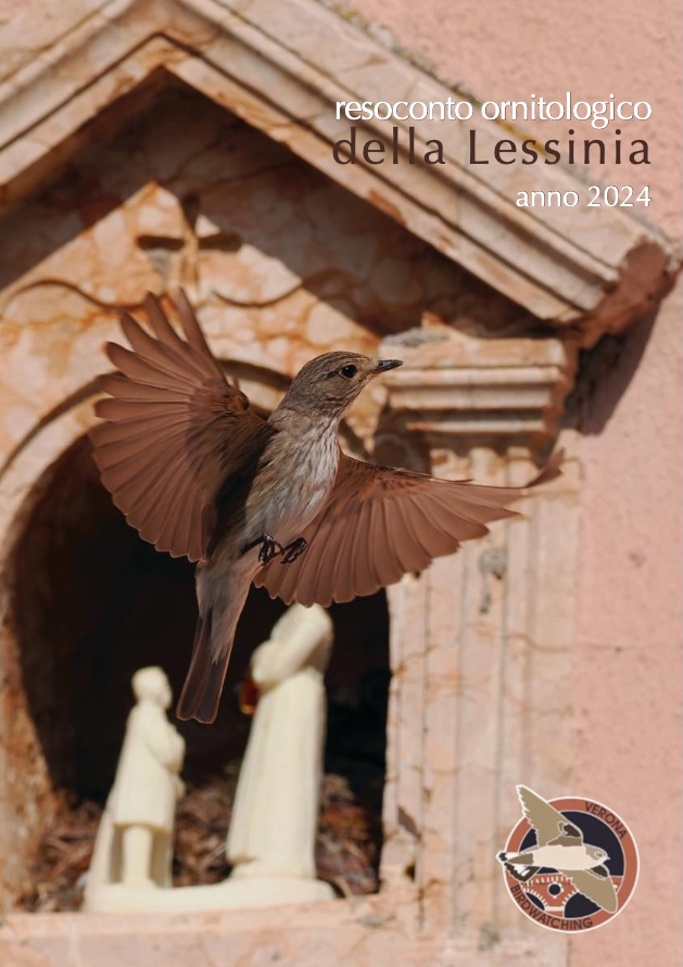 LESSINIA